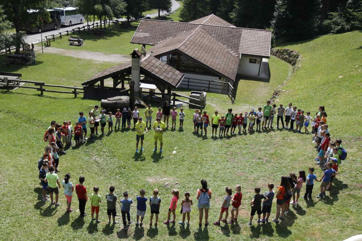 Novità del Breg Adventure Park, l' ORIENTEERING