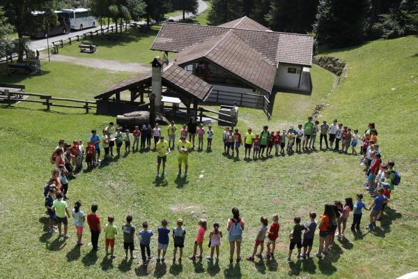 gite scuole e gruppi - parco avventura in trentino