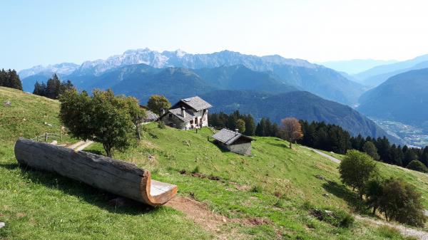 Malga Cengledino-panchina (2)